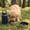Dark Blue, variant on WWG Insulated Stainless Steel Pet Water Bottle with Detachable Bowls Portable Travel Dog Water Dispenser Food Container with Handle for Walking Hiking Camping
