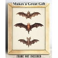 thumbnail image 2 of Vintage Bat Painting - 11x14 Unframed Art Print - Great Biology Lab Decor or Gift for People Who are Fascinated with Bats, 2 of 6