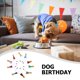 thumbnail image 3 of BRIGHTFUFU 10Ud Gorro De Fiesta Ajustable Para Perros Pequeños Y Material Y Confortable, 3 of 6
