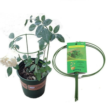 

Metal Garden Support Stake Ring Peony Herbaceous Plant Flower Stand Trellis