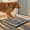 Box, variant on Muddy Mat® Meshy Mat™ Door Mat Heavy-Duty Quick-Dry Floor Mat, Sand & Dirt Trapper for Indoor & Outdoor, Ideal for Entrance, Mudrooms,Patios & Garages,Low-Profile,Non-Slip,Washable– Paw 16"x24"x0.4"