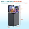 Low Reef Fish 50 Gallon Rimless Reef Aquarium System with Silver Aluminum Cabinet ...