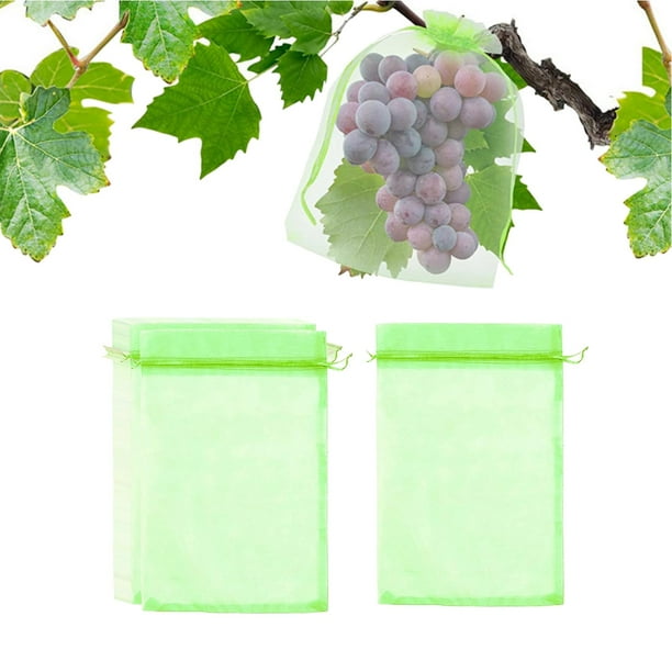 100 Piezas Bolsas de Protección de Frutas, Bolsas de Protección de Frutas de Uvas con Cordón, Bolsa Reutilizable Cubierta de Malla Cubierta de Árboles Verde claro