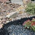 thumbnail image 6 of Landscape Rock & Pea Gravel, Decorative Garden Stones for Landscaping 3/8", 6 of 8