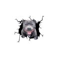 thumbnail image 1 of Pegatina para coche de bulldog, PVC, 30 x 30 cm, fondo transparente, adhesivo removible para coche, pared, portátil y superficies lisas, 1 of 3