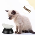 thumbnail image 2 of Elevated Cat Bowl Adjustable Black & White Detachable Raised Cat Food Bowl Tilt Standing Vomiting Elevated Pet Bowl Tip Ceramic Raised Cat Bowl Cats & Small Dogs, 2 of 4