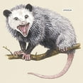 thumbnail image 4 of CafePress - Opossum Possum Animal Light T Shirt - Men's Classic Graphic T-Shirt, 4 of 5