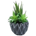 thumbnail image 1 of Flores artificiales, suculentas artificiales, plantas combinadas en macetas, decoraciones para el hogar, plantas verdes artificiales, 1 of 5