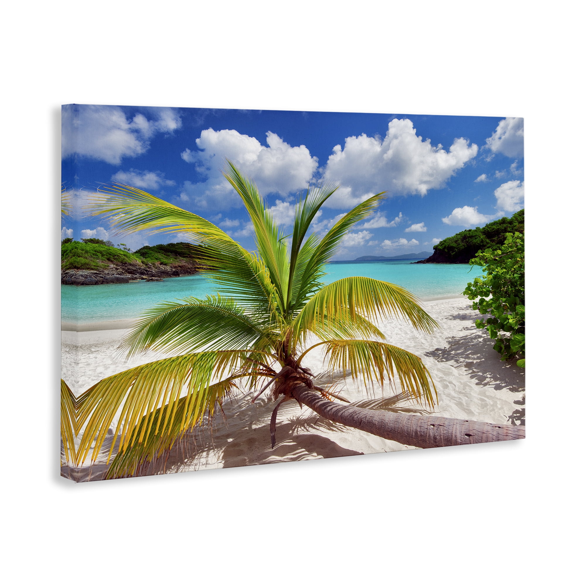 Stupell Industries Palm Tree Across Beach Coastal Photography Gallery Wrapped Canvas Art Print Wall Art, 36 x 24