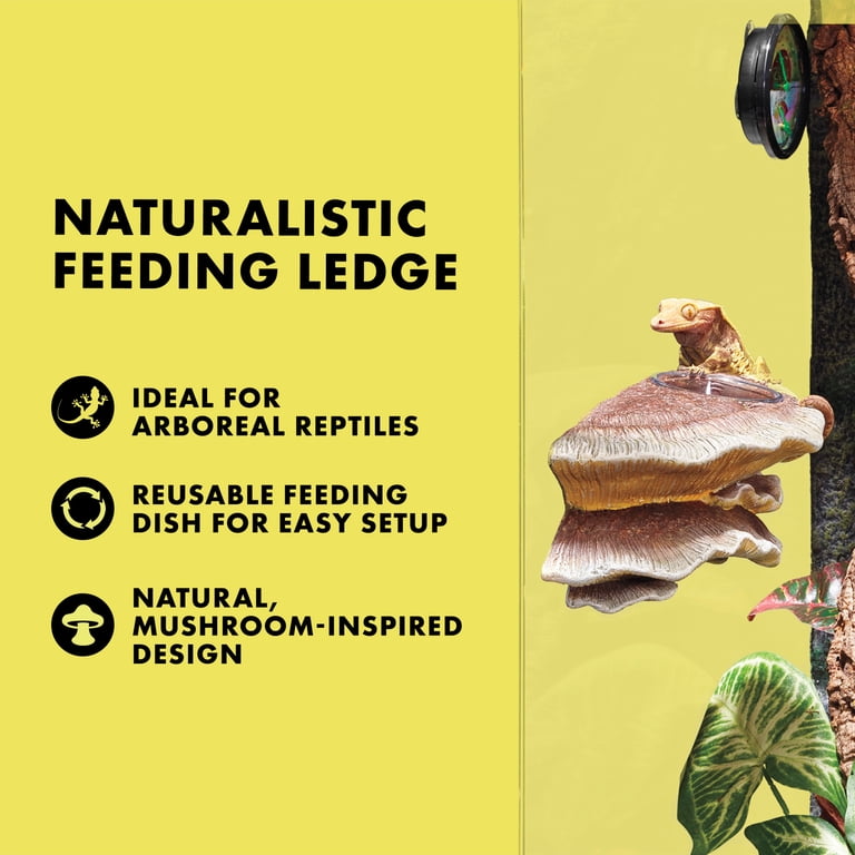 Zilla Vertical Décor Mushroom Feeding Ledge 1 Count - Walmart.com