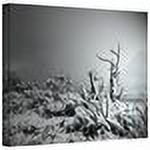 Mark Ross "You Just Do" Wrapped Canvas Art