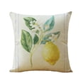 thumbnail image 5 of Fundas de cojín de limón de 45 x 45 cm, fundas de almohada decorativas de frutas, fundas de almohada de terciopelo suave de estilo rústico, juego de 4, 5 of 5