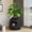 Black, variant on Cat Litter Box with Lid, Corner Cat Litter Box Enclosure, Hidden Cat Litter Box Plant, Black