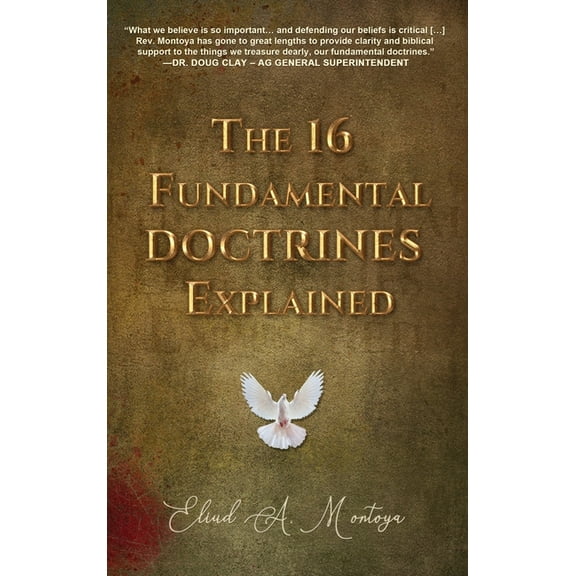 The 16 Fundamental Doctrines Explained, (Hardcover)