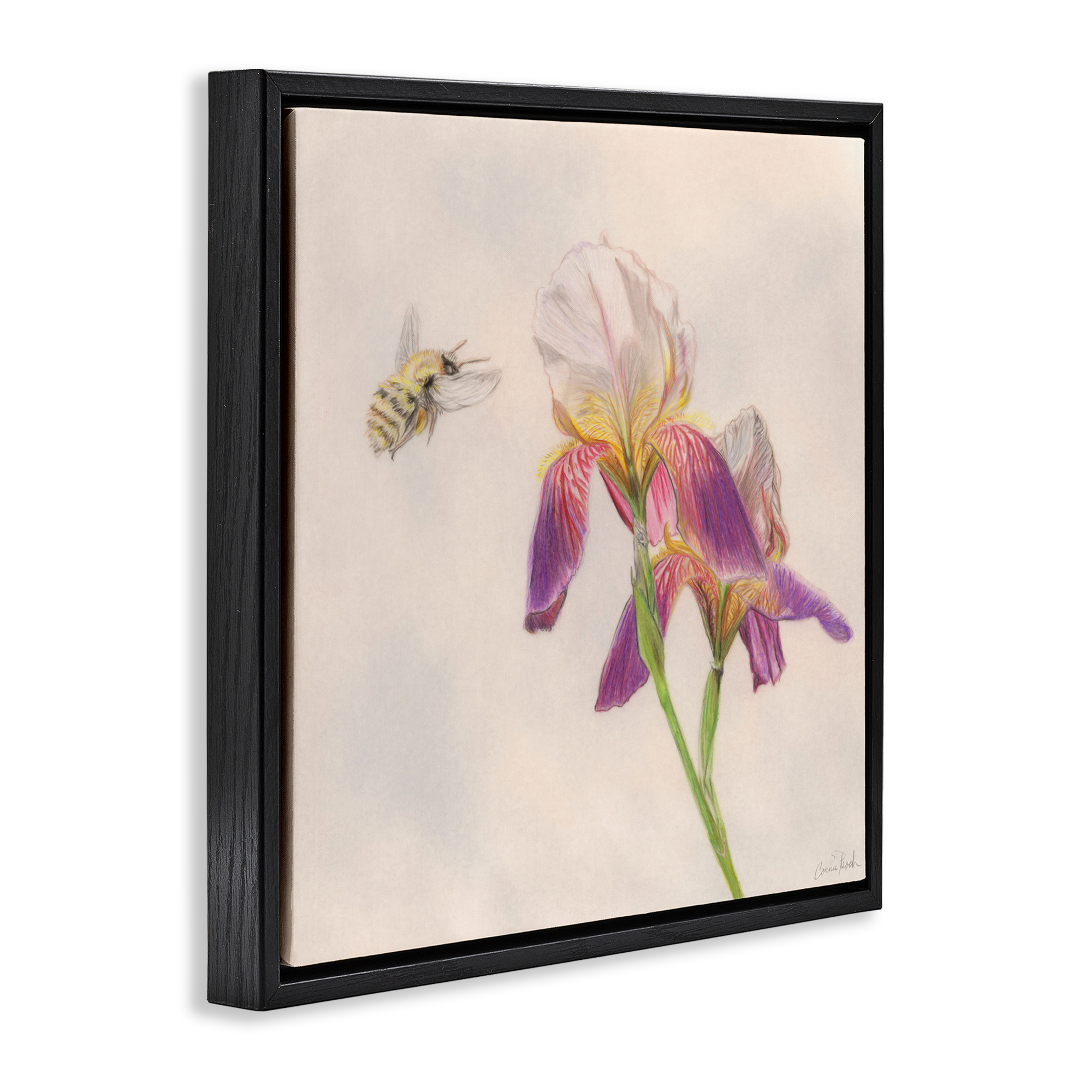 Stupell Industries Spring Offerings Bee Animals & Insects Painting Black Floater Framed Canvas Art Print Wall Art, 18 x 18