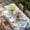 beige, variant on Blue Starfish Coastal Table Cloths for 8 Foot Rectangle Tables, Eucalyptus Summer Nautical Shell Rustic Patio Waterproof Elastic Fitted Tablecloths, Washable Rectangular Table Cover for Camping