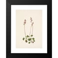 thumbnail image 2 of Mary Vaux Walcott 14x18 Black Modern Framed Museum Art Print Titled - Small Pyrola. Pyrola Minor (1925), 2 of 5