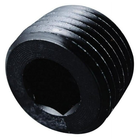 Fragola 1/2 NPT Pipe Plug- Internal Black
