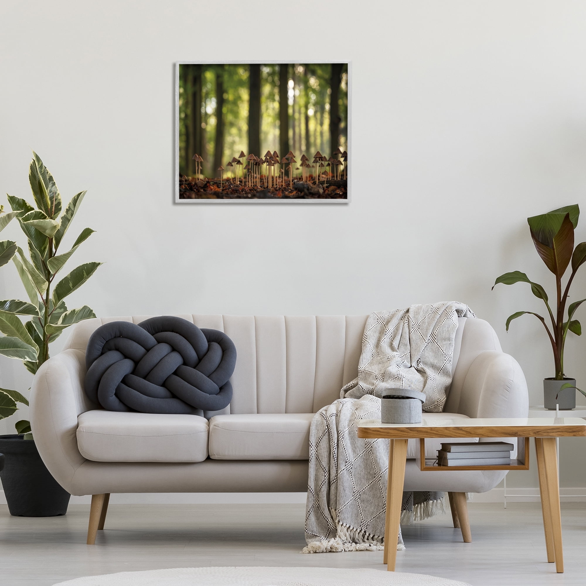 Stupell Industries Mushroom Sprouts in Forest Botanical & Floral Photography Gray Framed Art Print Wall Art, 30 x 24