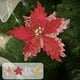 thumbnail image 1 of Xihbxyly Adorno Floral Navideño, Diseño de Encaje con Lentejuelas, Elegante Centro de Campanas, Decoración Navideña Artesanal, Adorno Festivo para Árbol, Fácil de Combinar con La Temática Navideña, T, 1 of 6