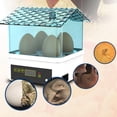 thumbnail image 4 of de huevos eléctrica, de huevos, Control de temperatura de incubación, bandeja de huevos para el hogar, 4 huevos, para pájaros, Colco Incubadora automática de huevos, 4 of 7