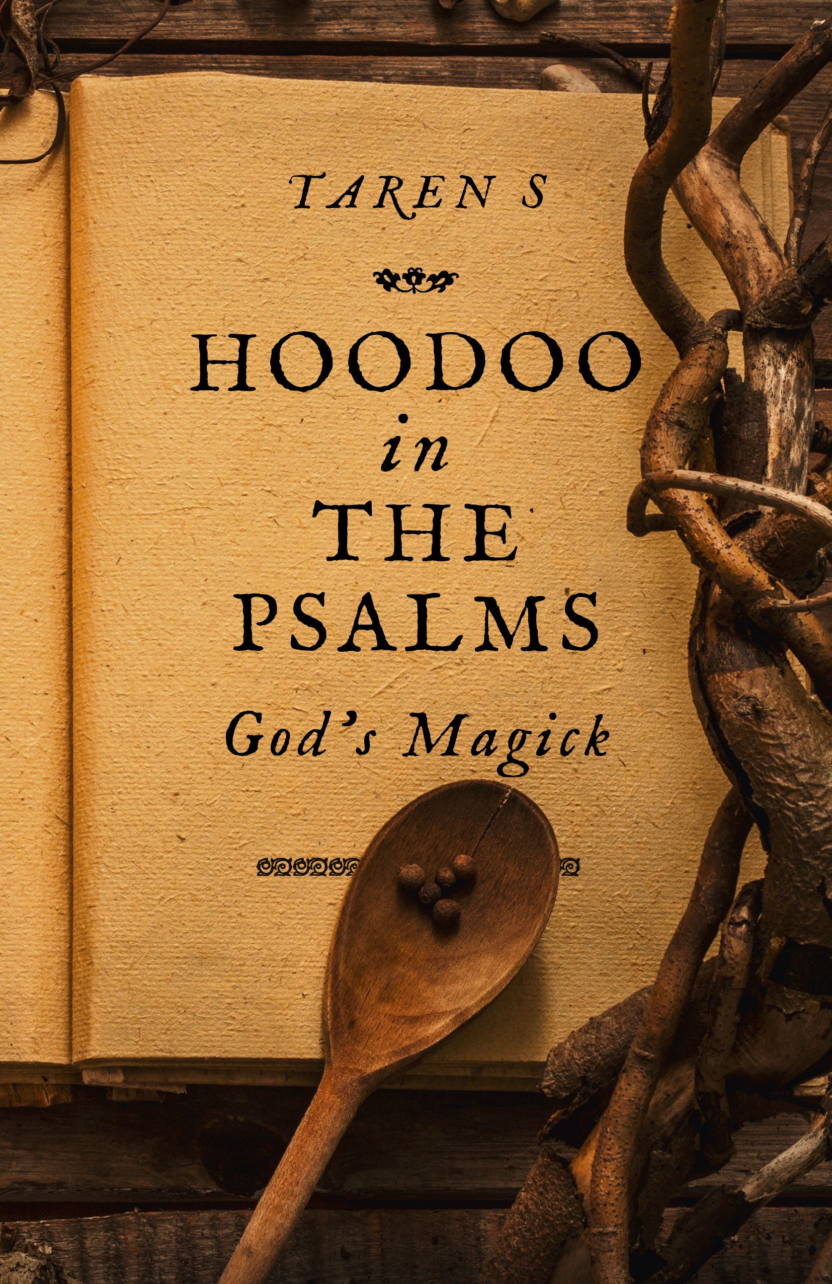 Hoodoo in the Psalms God's Magick (Paperback)