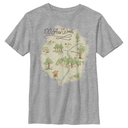 Boy s Winnie the Pooh 100 Acre Woods Map Graphic Tee Athletic Heather X Large