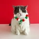 thumbnail image 4 of Collar De Plástico Paquete de 2 collares navideños con lazos para perros pequeños y medianos JASKFLY, 4 of 7