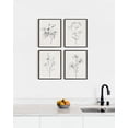 thumbnail image 6 of Grey Floral Wall Art - Set of 4 Plant Posters for Wall Vintage, Botanical Prints, Black and White Wall Art Flower Pictures for Room Aesthetic, Farmhouse Bathroom Art (8x10, Unframed), 6 of 6