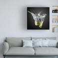 thumbnail image 2 of isma Yunta 'Fresh Limes' Canvas Art, 2 of 4