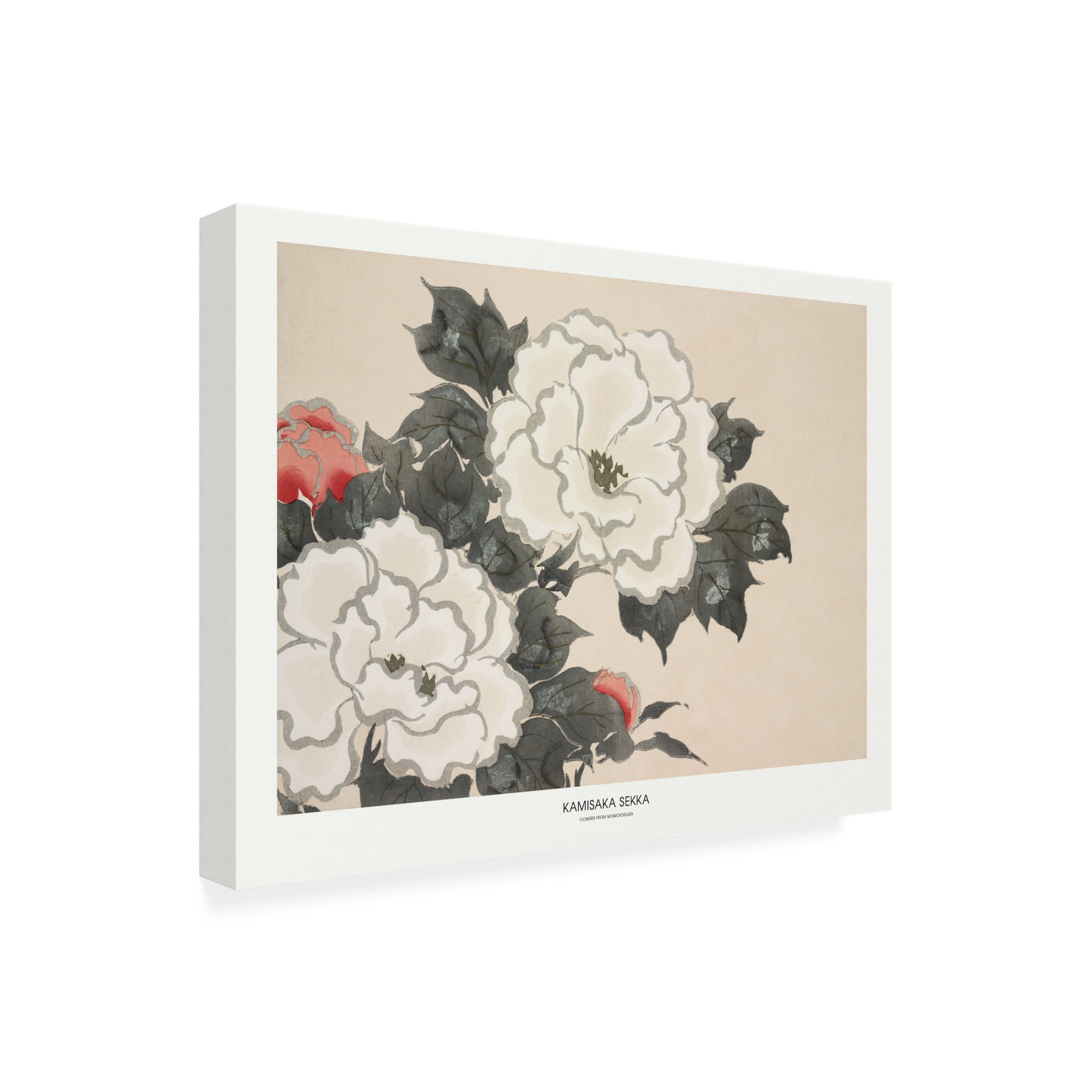 Trademark Fine Art Pictufy  Flowers From Momoyogusa Canvas Wall Art