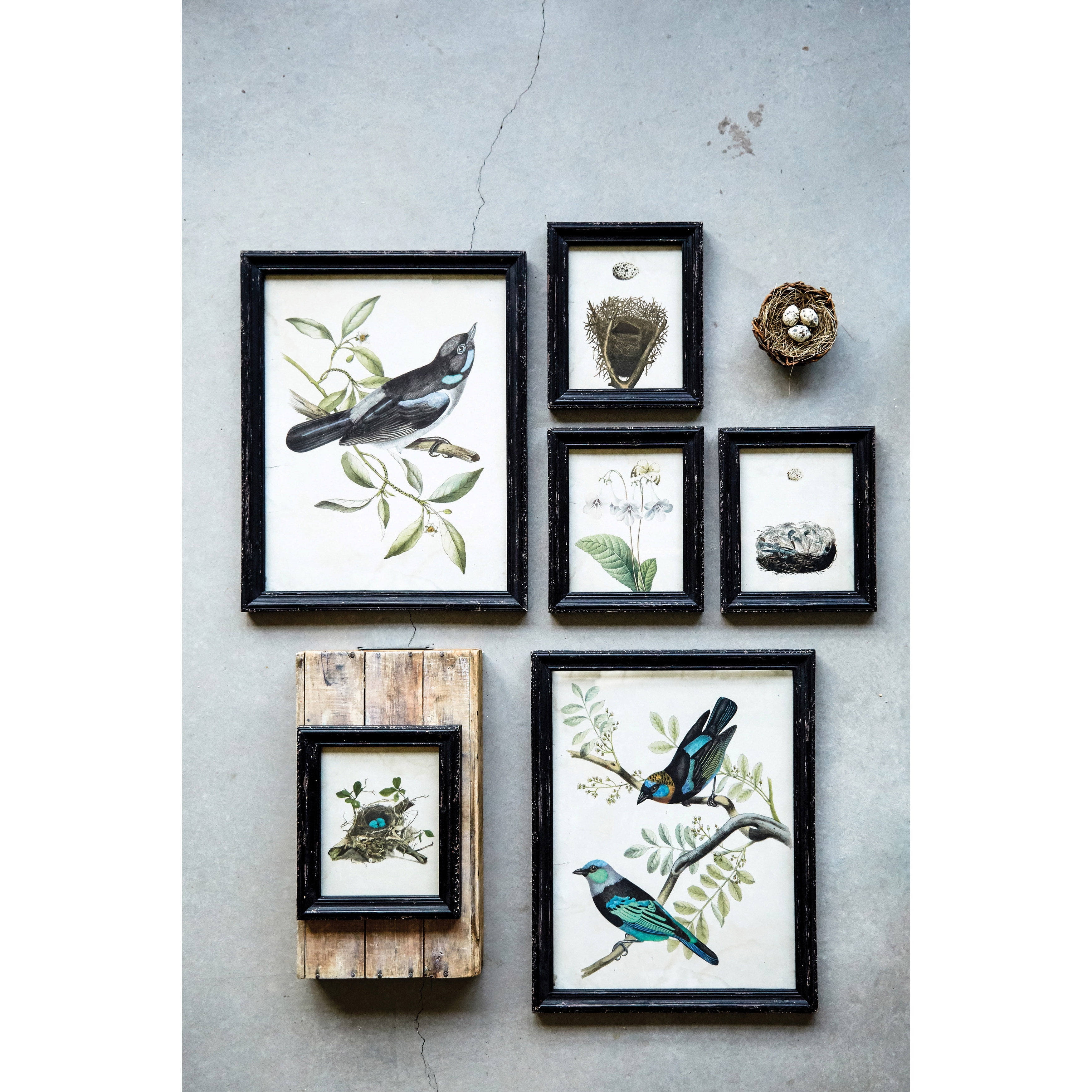 Creative CoOp Wood Framed Wall Art with Bird Images (Set of 2 Designs