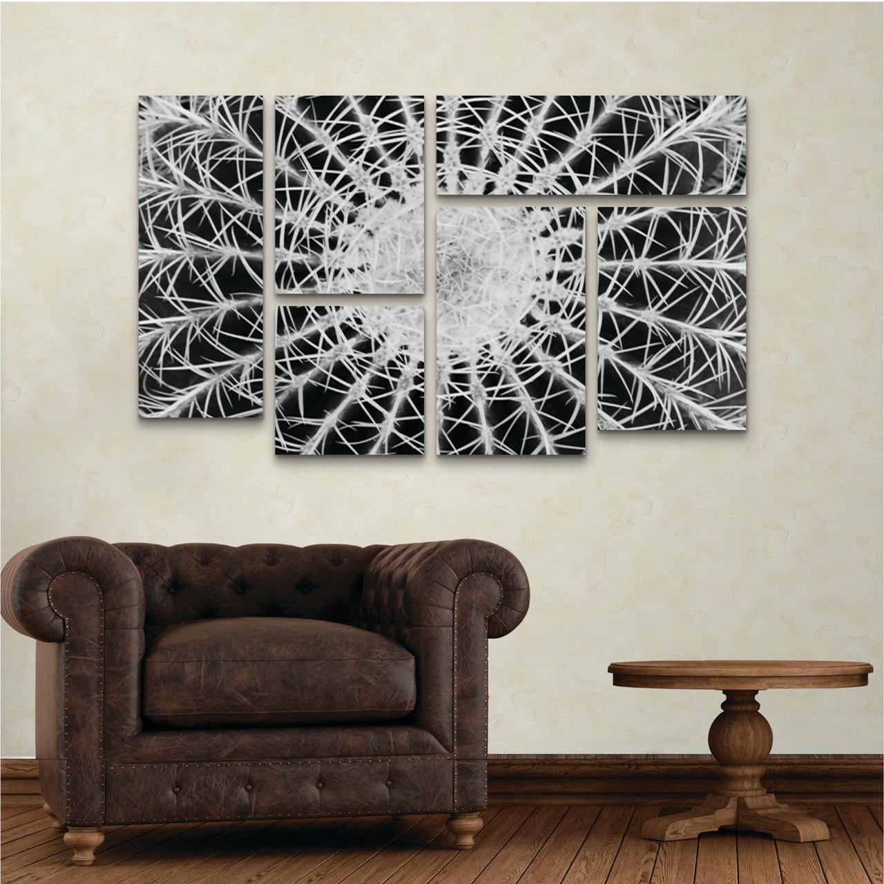 Trademark Fine Art 'Barrel Cactus' Canvas Art by Kurt Shaffer