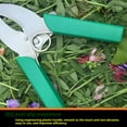 thumbnail image 6 of Grafting Tool Tree Trimmer Scissor for Pruning Gardening and Outdoor Vine Management, 6 of 8