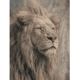 thumbnail image 1 of Qisvanset Lion Halloween Decor Canvas 15.75x11.81 Inches, 1 of 8