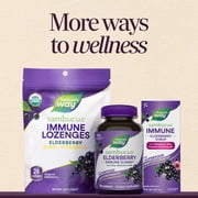 Nature's Way Sambucus Immune Elderberry Syrup, Zinc & Vitamin C, Dietary Supplement, Unisex, 4 fl oz