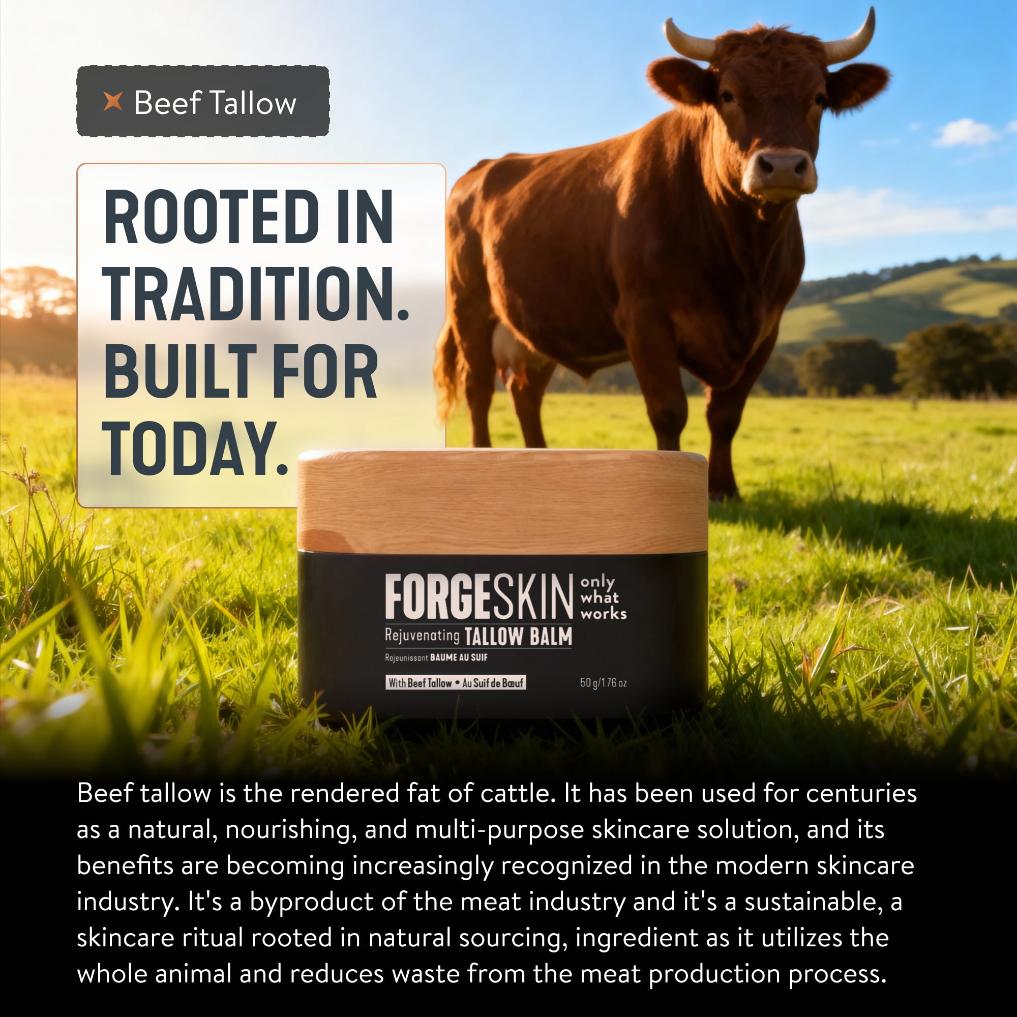 Forge Skin® Rejuvenating Beef Tallow Balm [TALLOW-BASED] Moisturizer for Face Hydration - Hydrating Anti Aging Skin Cream - Natural Facial Skincare Lotion with Essential Oils (1.76 OZ)