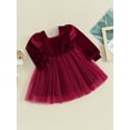 thumbnail image 3 of Bslissey Toddler Baby Girls Velvet Patchwork Dress Solid Color Long Puff Sleeve Puffy Tulle A-line Dress Infant Smocked Casual Princess Dress for Daily Party 9M-4T, 3 of 9