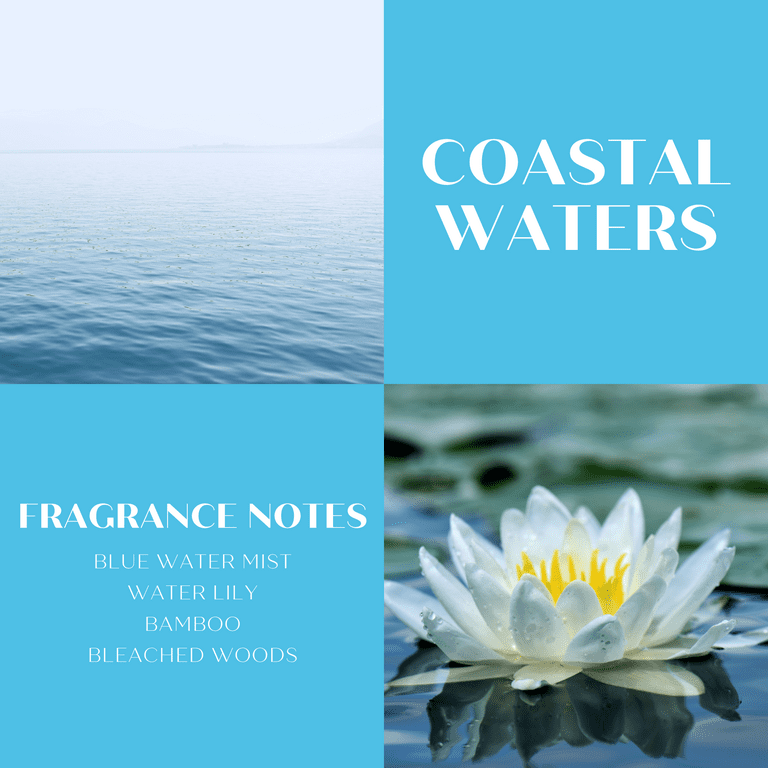 Scentworx 14.5 oz Coastal Waters 3-Wick Jar Candle by Slatkin & Co
