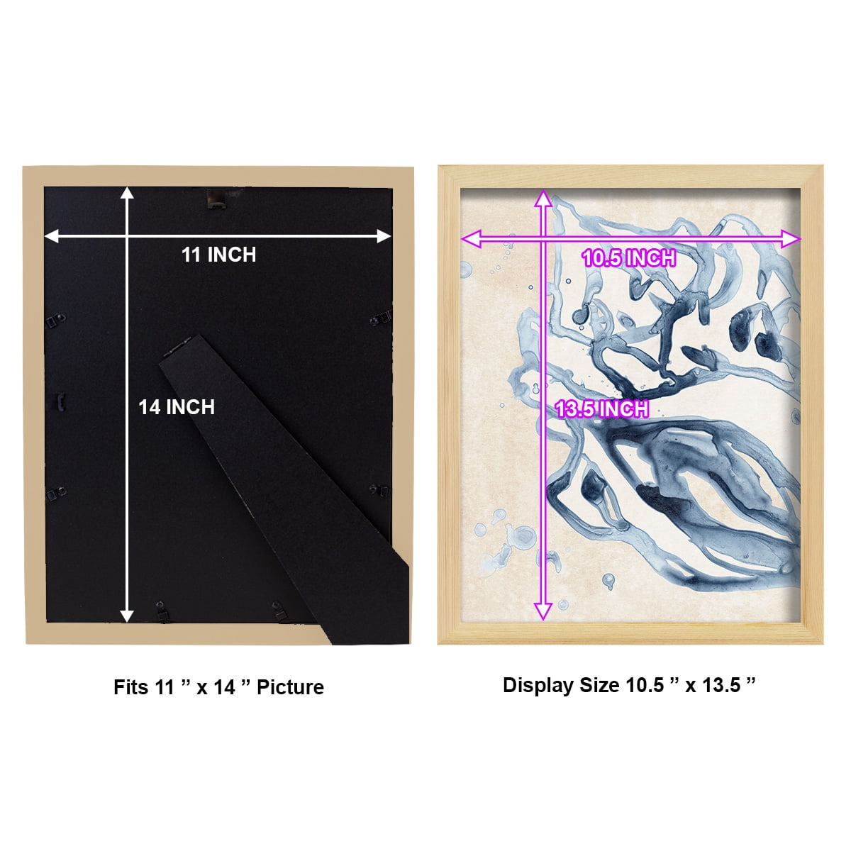 Water Shells II - Framed Print w/glass - Natural Wood
