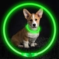 thumbnail image 5 of Collar de perro LED, luz de collar de perro con flash recargable por USB, collar de seguridad para mascotas hace que sus queridos perros sean vistos por la noche para pequeños y medianos, 5 of 5