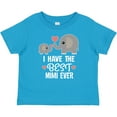 thumbnail image 3 of Inktastic Grandchild Best Mimi Ever Boys or Girls Baby T-Shirt, 3 of 5