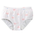 thumbnail image 2 of Delliss Toddlers Little Girls Cotton Briefs Panties Pack animal Print Underwear Kids Briefs, 2 of 3