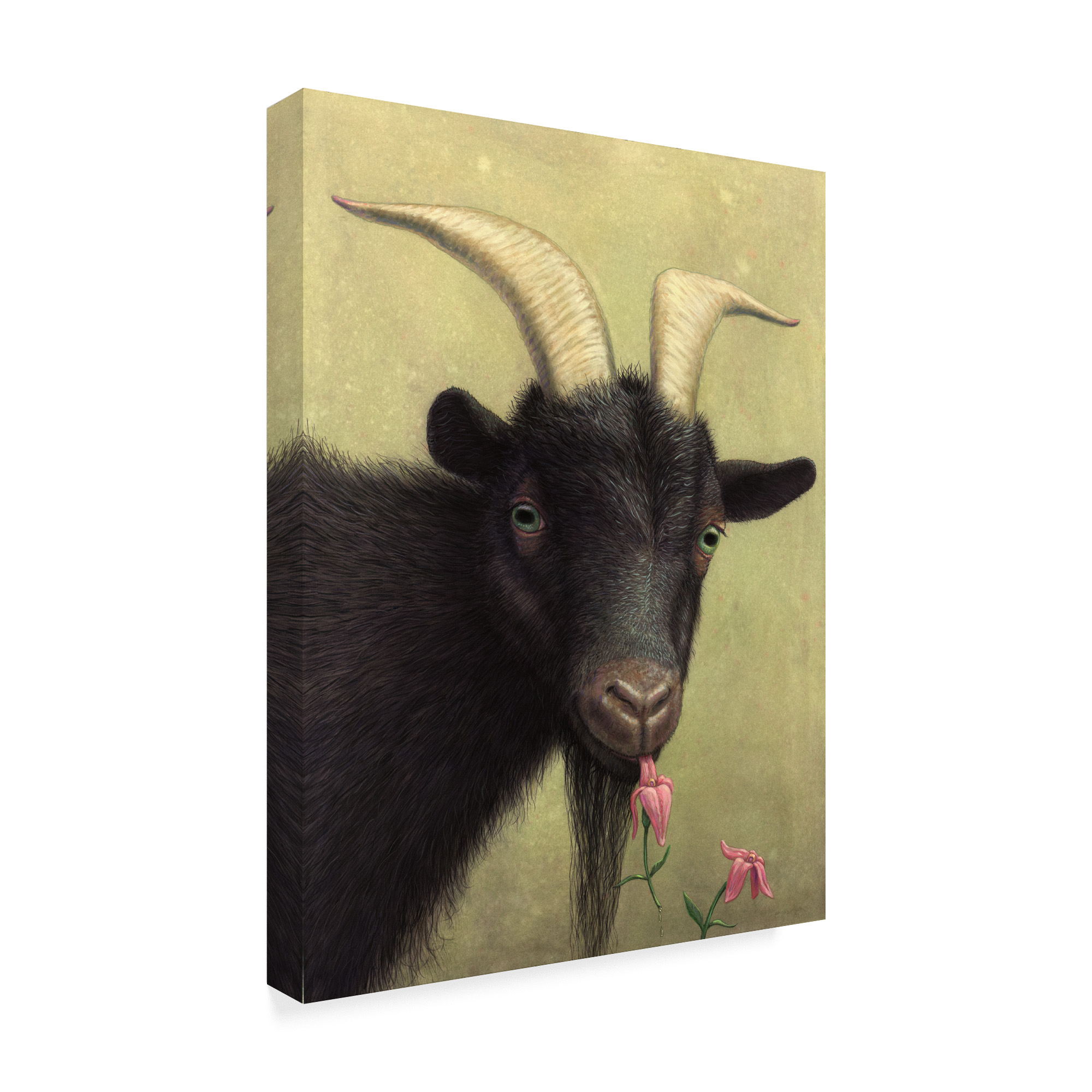 Trademark Fine Art 'Black Goat Enjoying a Pink Flower' Canvas Art by James W. Johnson