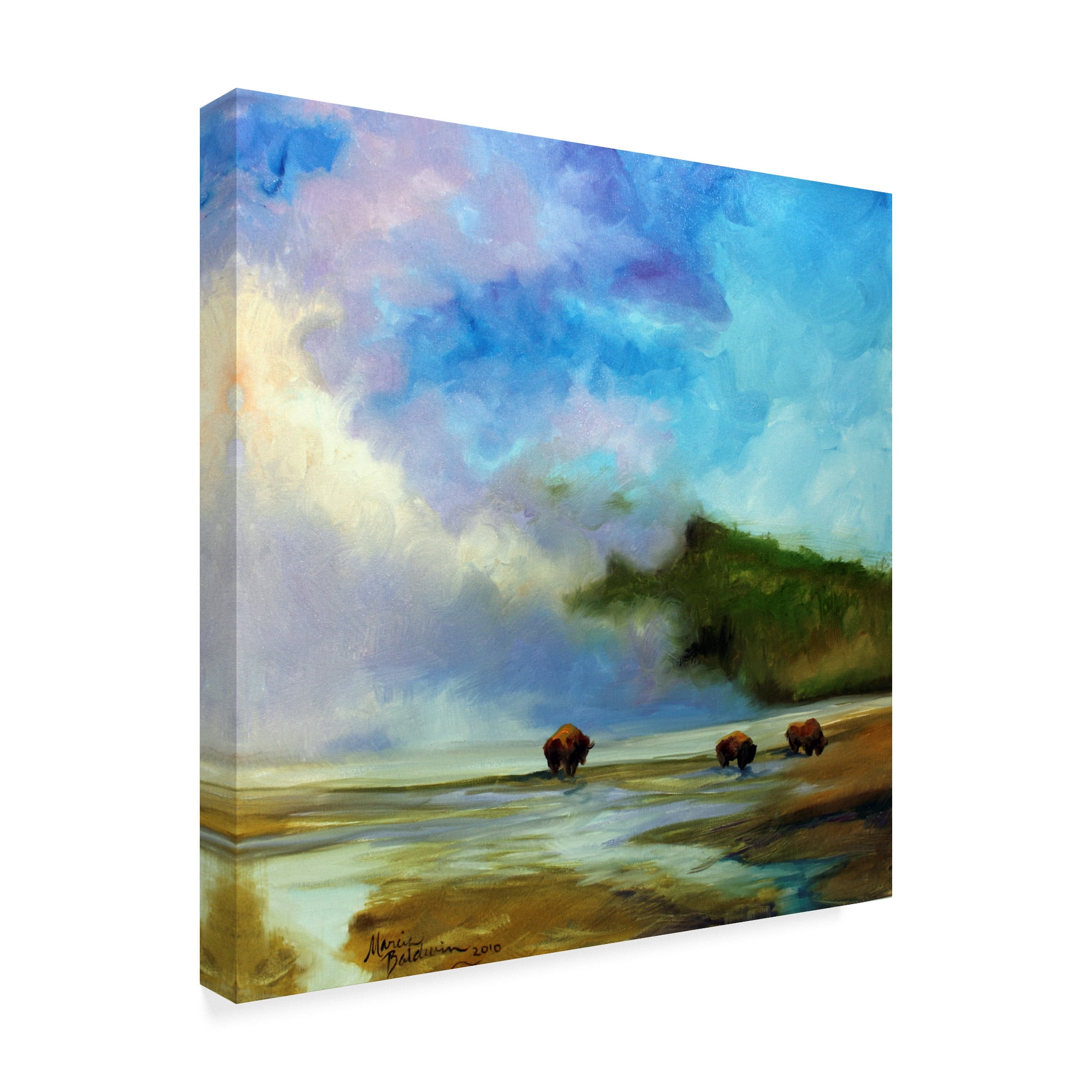 Trademark Fine Art 'Yellowstone Buffalo Landscape' Canvas Art by Marcia Baldwin