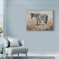 thumbnail image 3 of Trademark Fine Art 'The Color Blue' Canvas Art by Kathy Winkler, 3 of 4