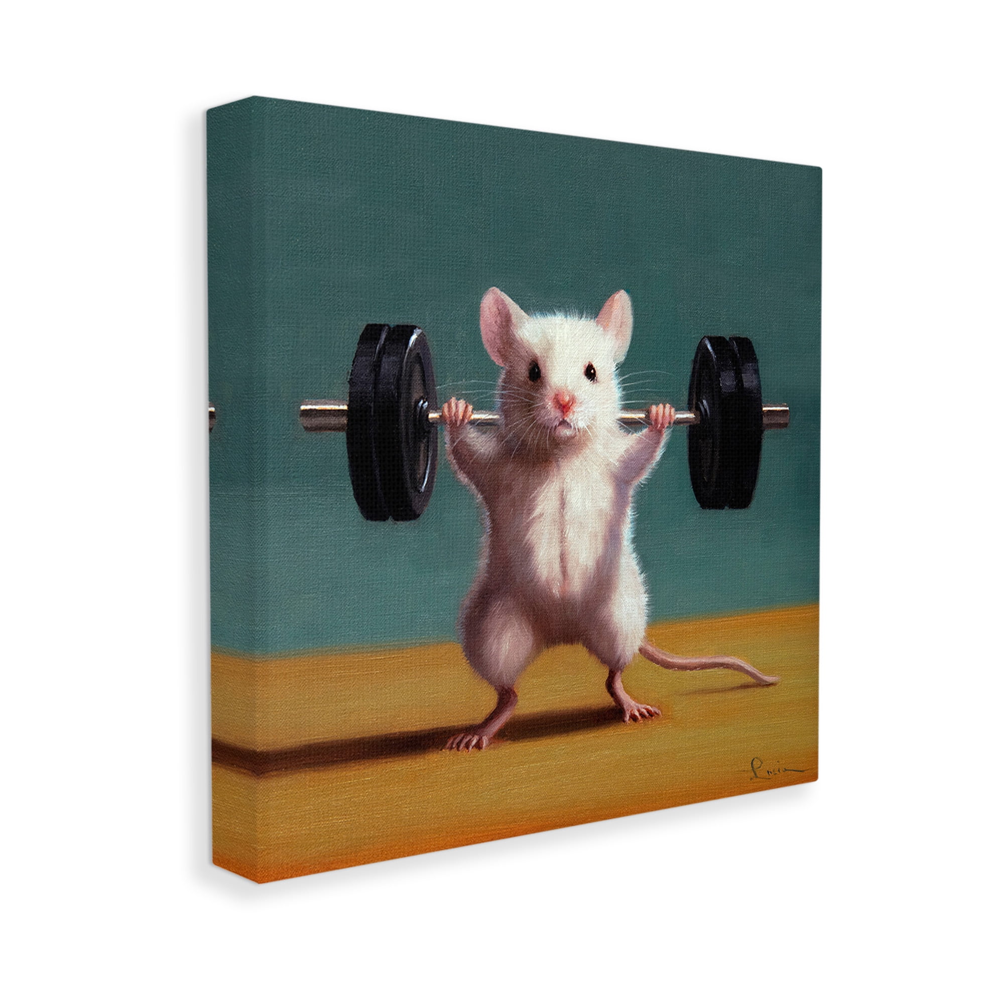 Stupell Industries Weight Lifting Mouse Animals & Insects Painting Gallery Wrapped Canvas Art Print Wall Art, 36 x 36