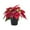 Style B, variant on Esquirla Christmas Artificial Poinsettia Plant Artificial Bonsai Desktop Ornament Decorative Artificial Plants for Winter Home Holiday C