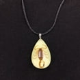 thumbnail image 4 of Glow Scorpion Pendant Resin Insect Necklace Faux Amber Specimen Unique Gift Souvenir for Men and Women, 4 of 6
