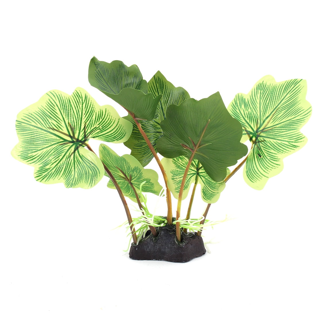 fish bowl plants fish bowl plants